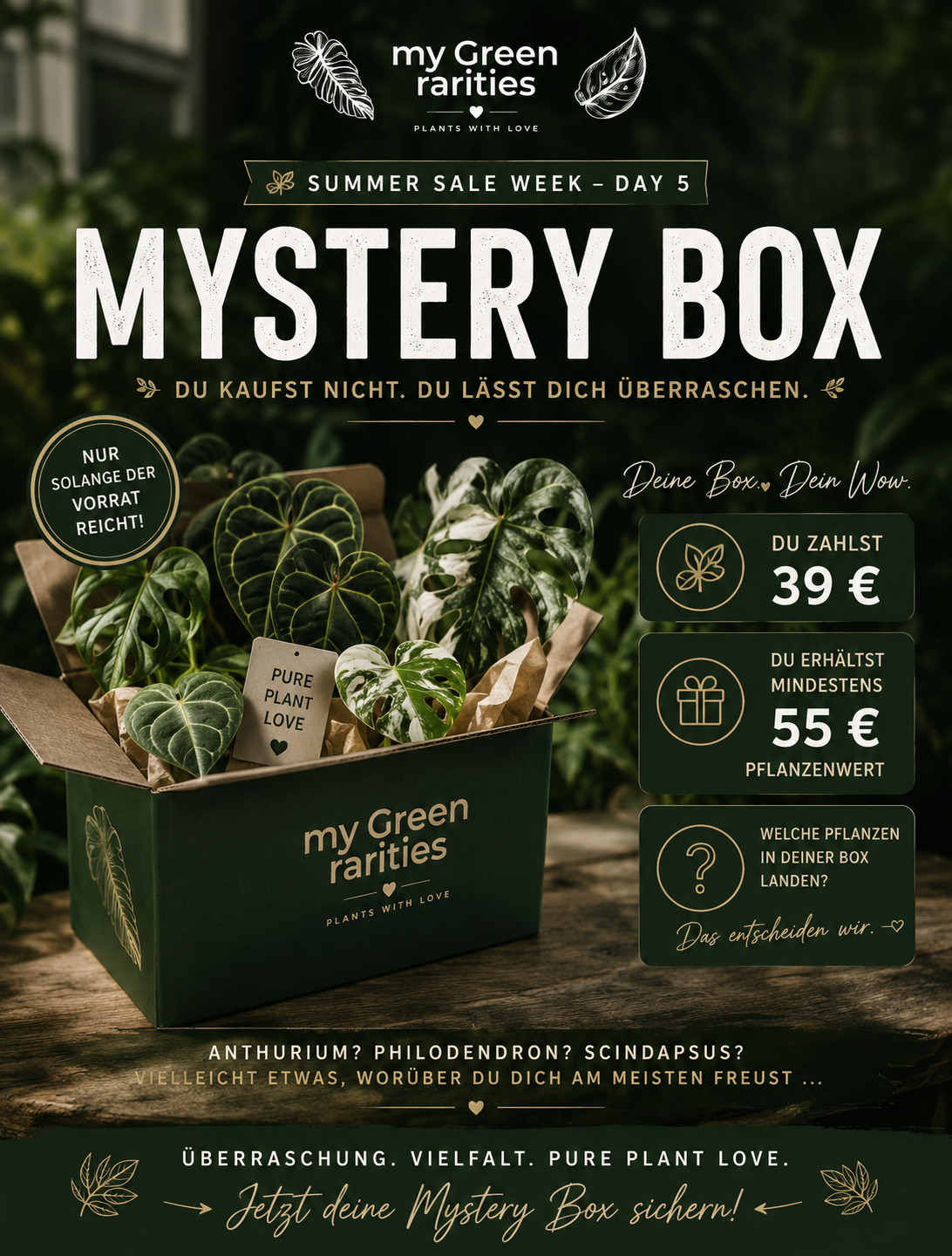 Summer Sale Special Mistery Box