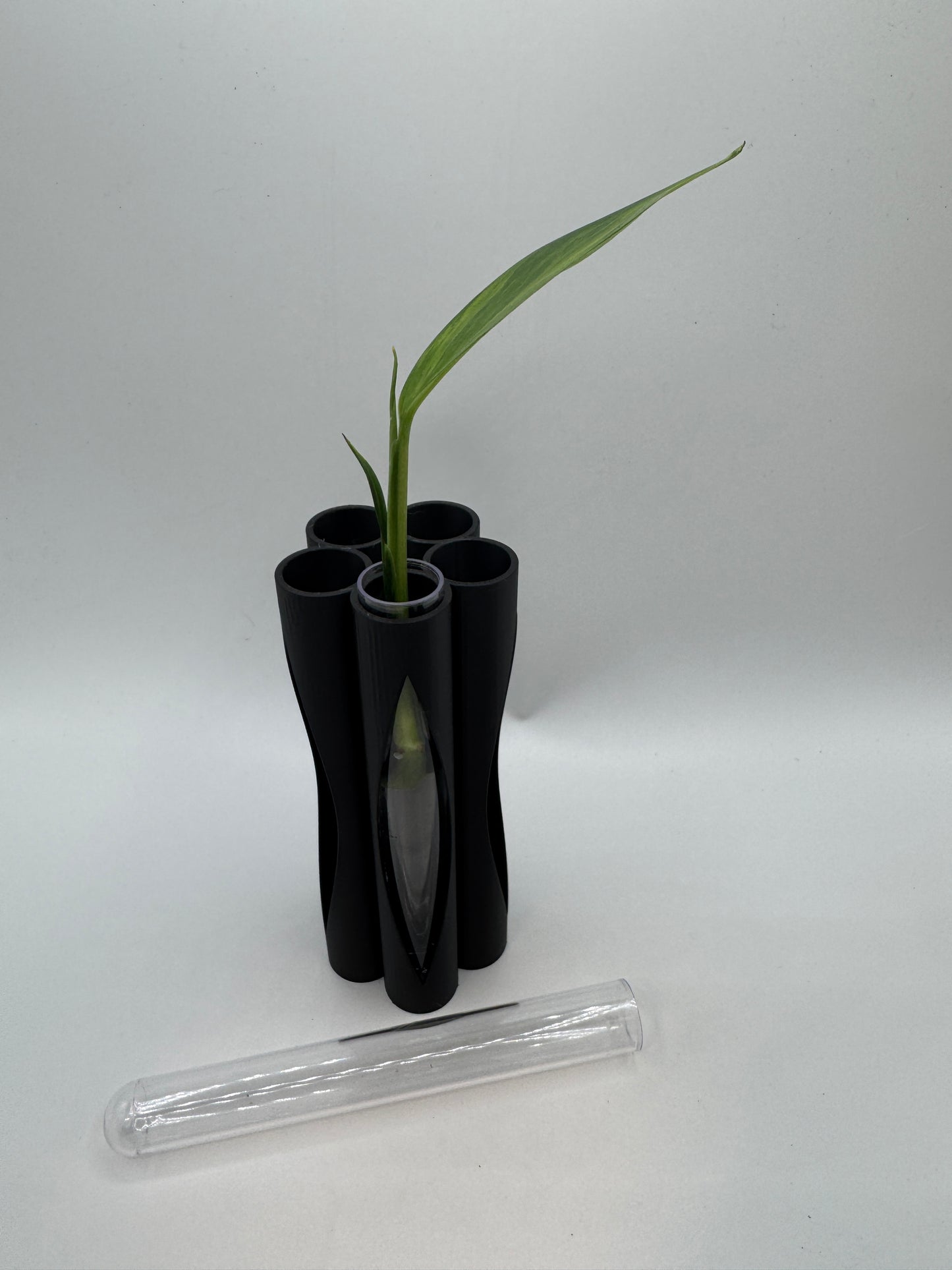 Vase für Stecklinge inkl. 5 Gläser
