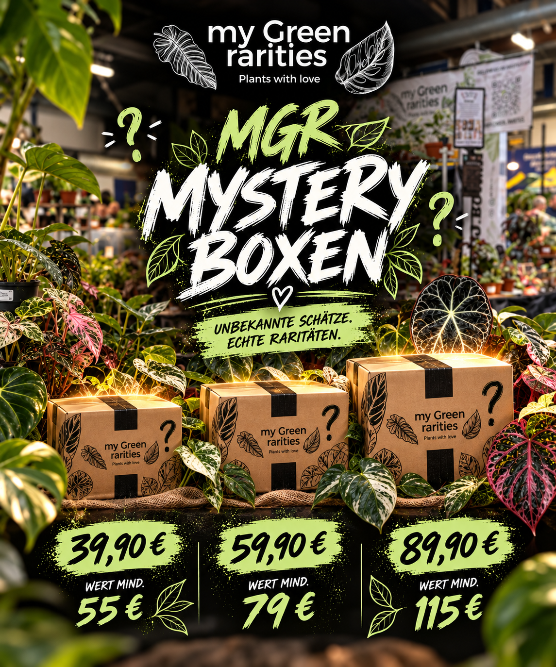 MGR Mistery Box