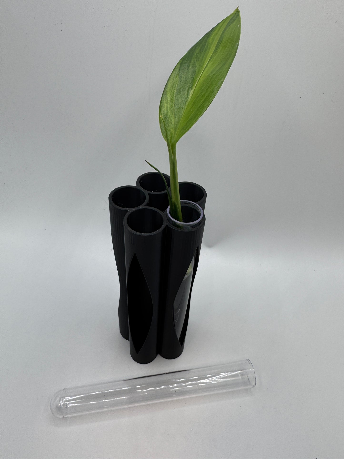 Vase für Stecklinge inkl. 5 Gläser