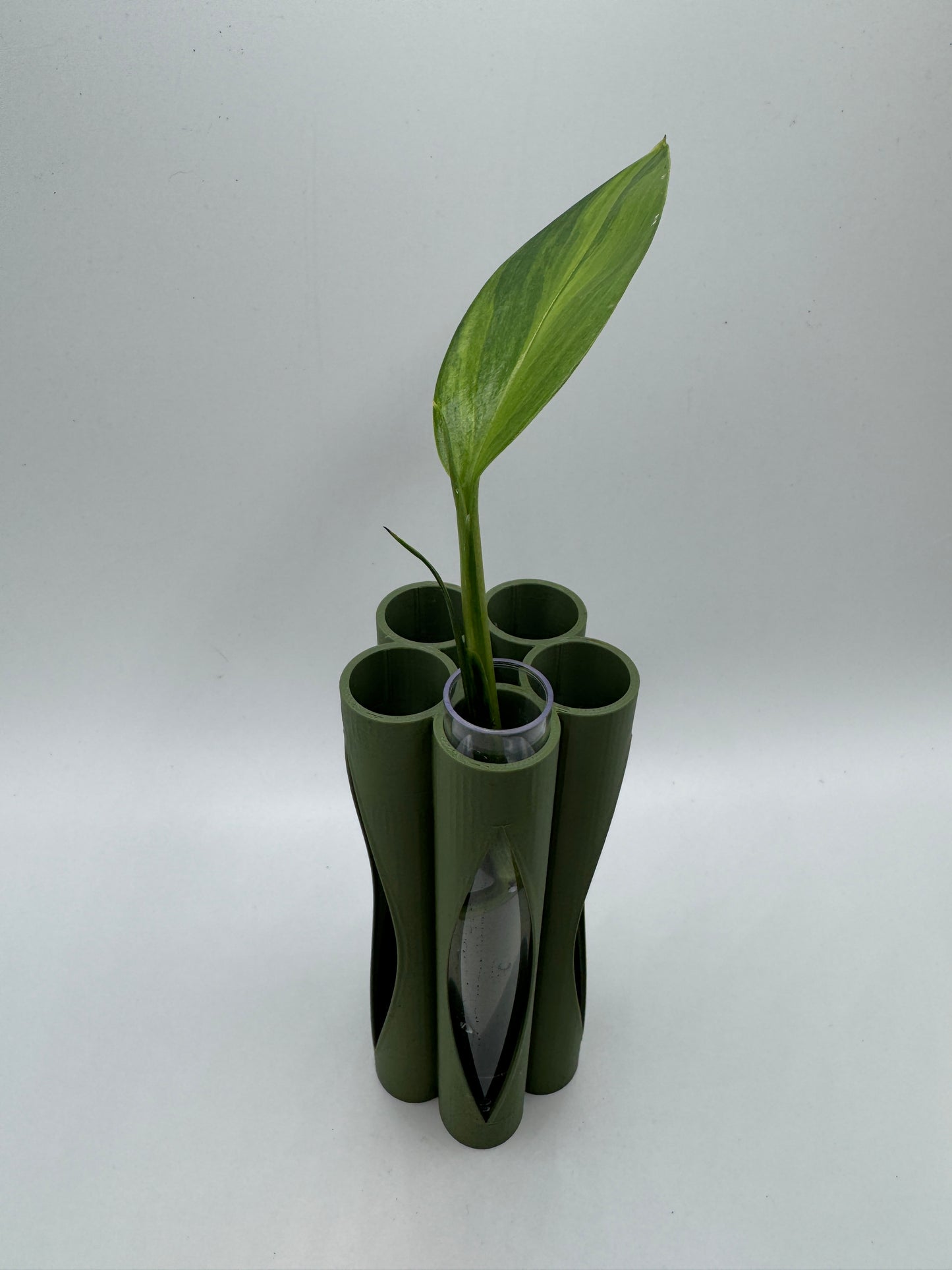 Vase für Stecklinge inkl. 5 Gläser