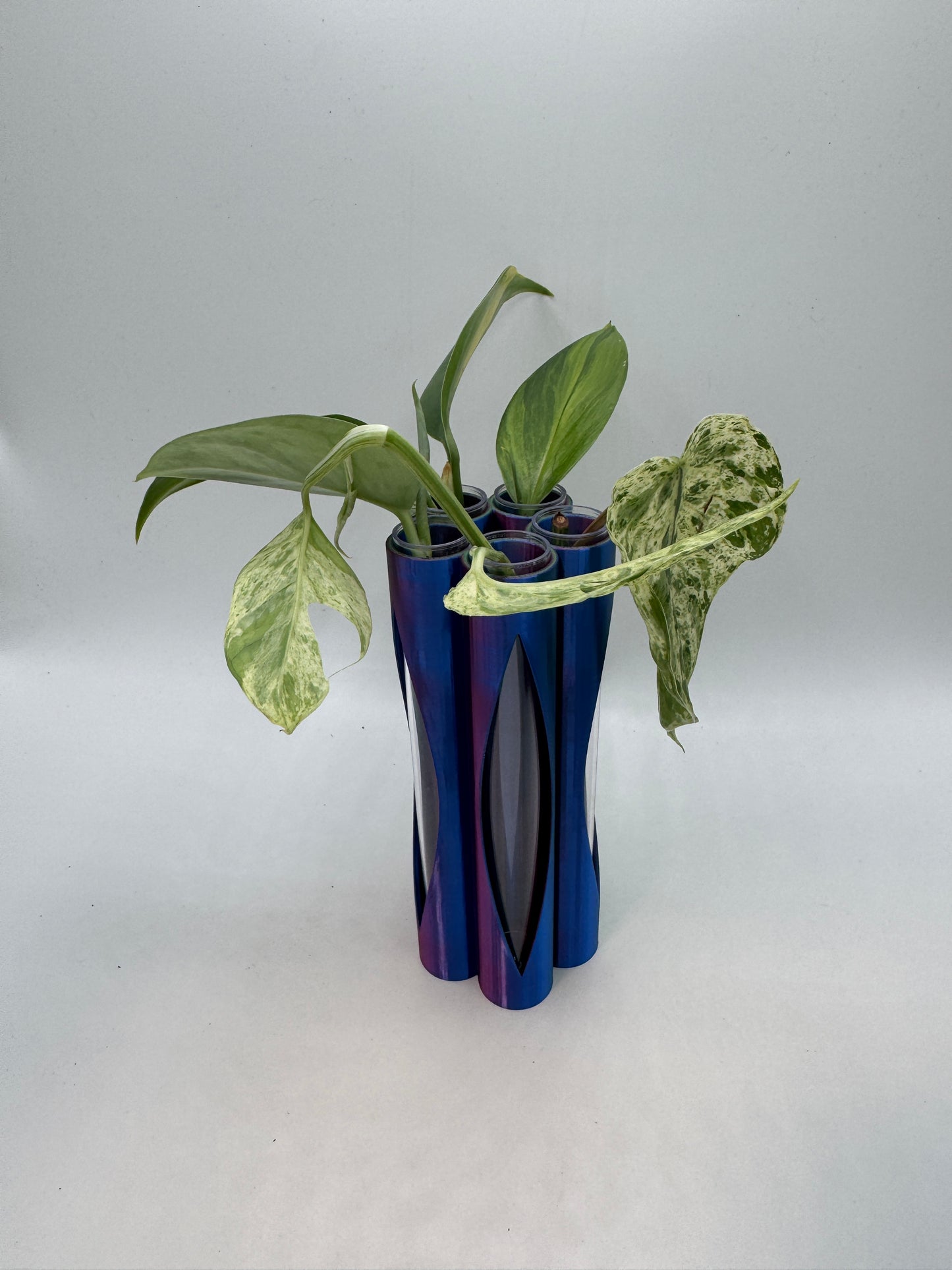 Vase für Stecklinge inkl. 5 Gläser