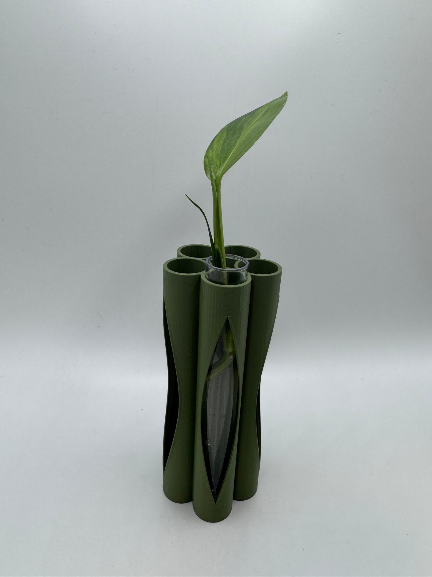 Vase für Stecklinge inkl. 5 Gläser