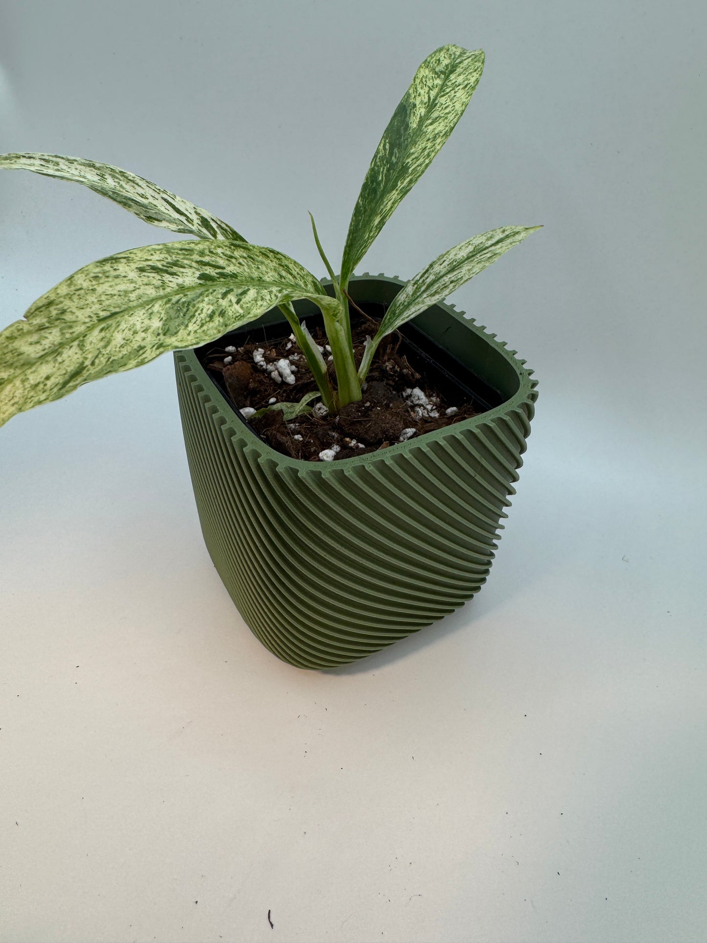 Pflanzentopf Rib Round für 7x7x8 Vierkanttopf