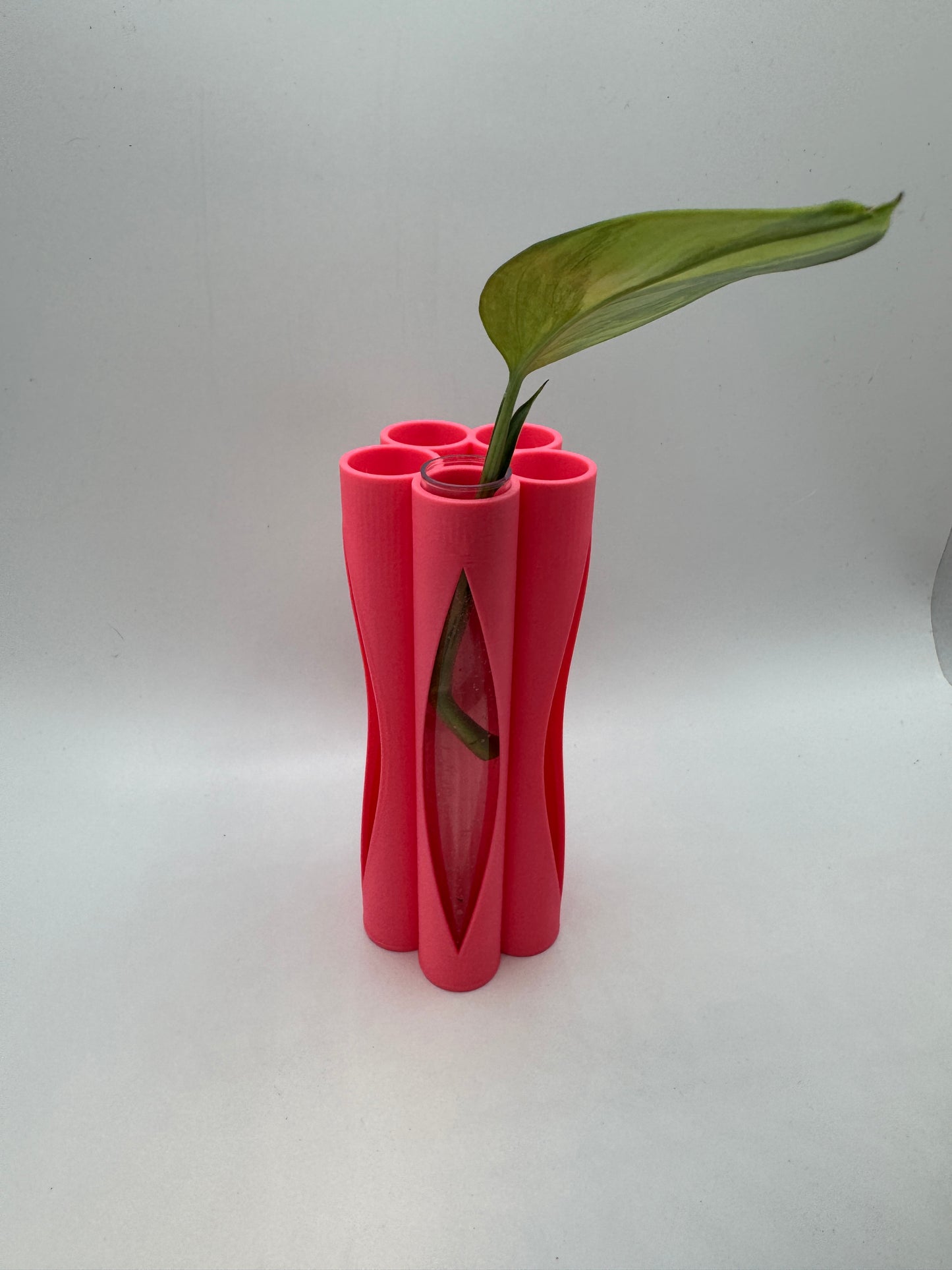 Vase für Stecklinge inkl. 5 Gläser