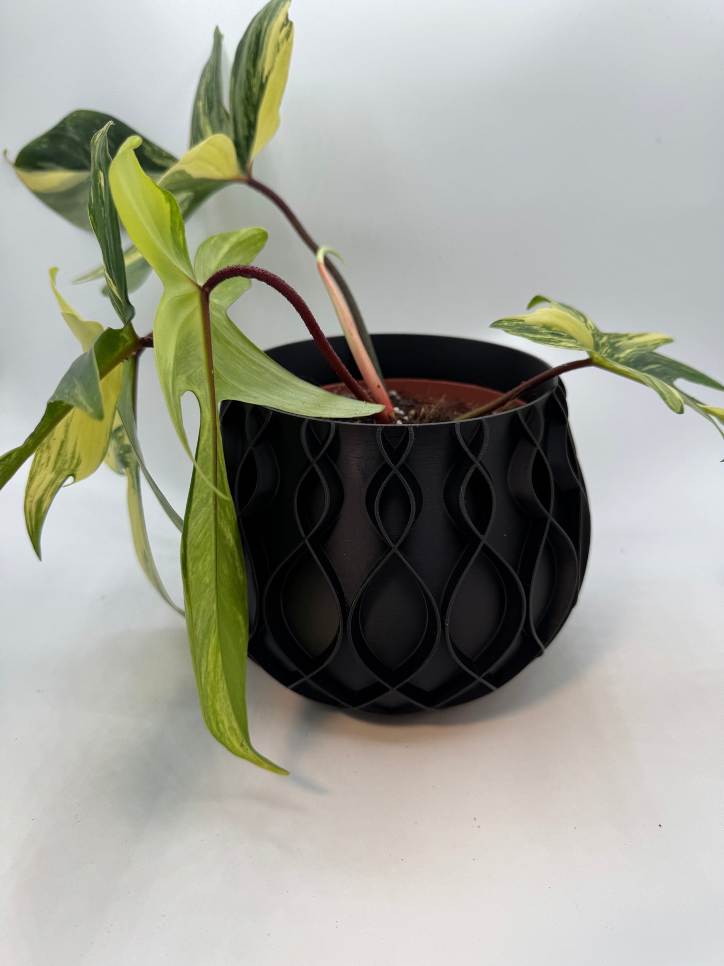Pflanzentopf „Bellvere“