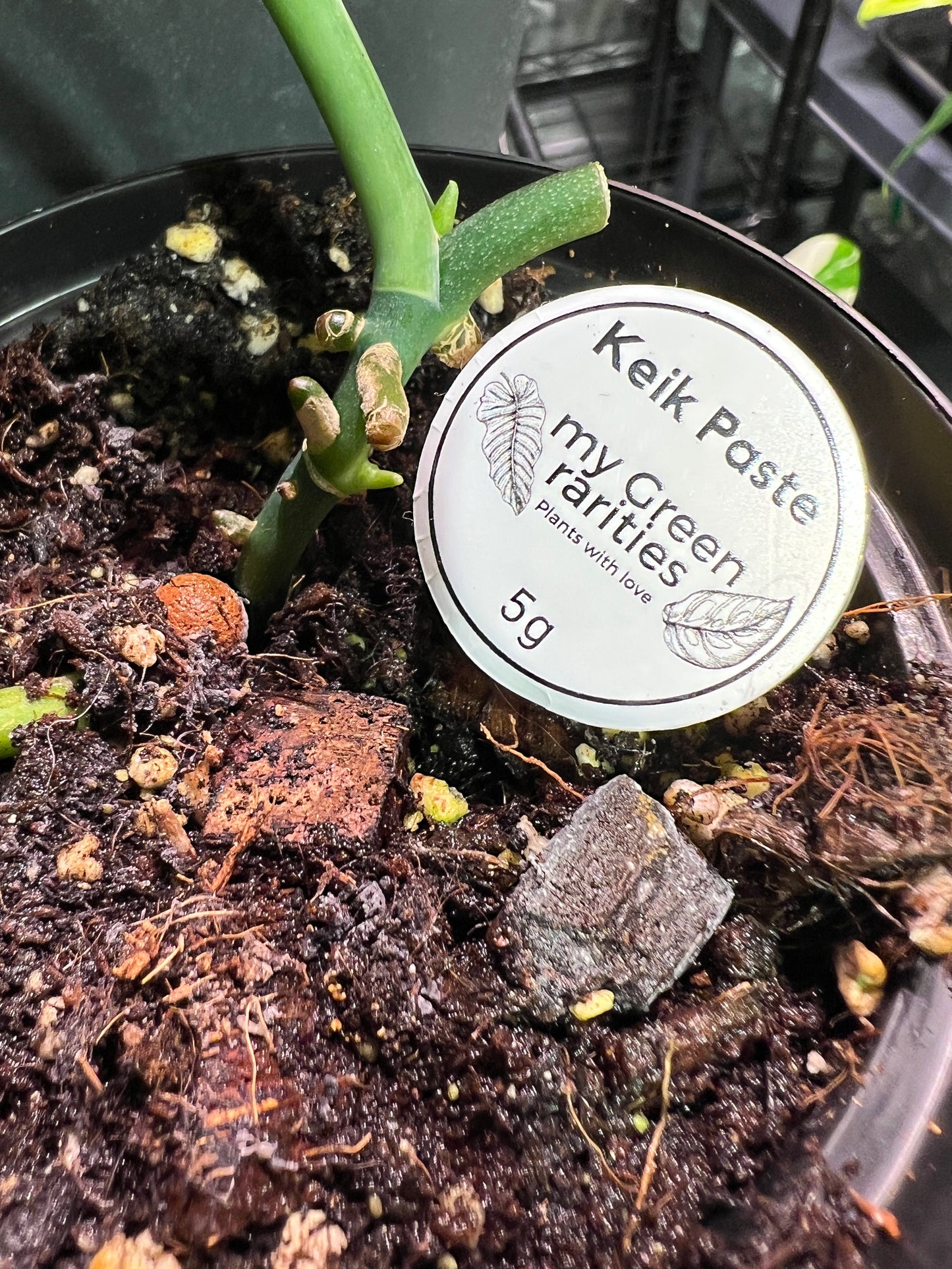 Keiki Paste