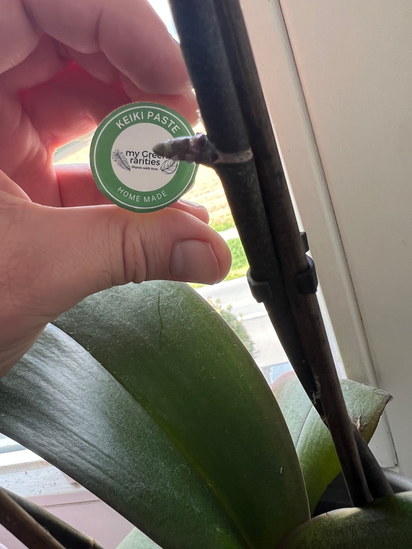 Keiki Paste