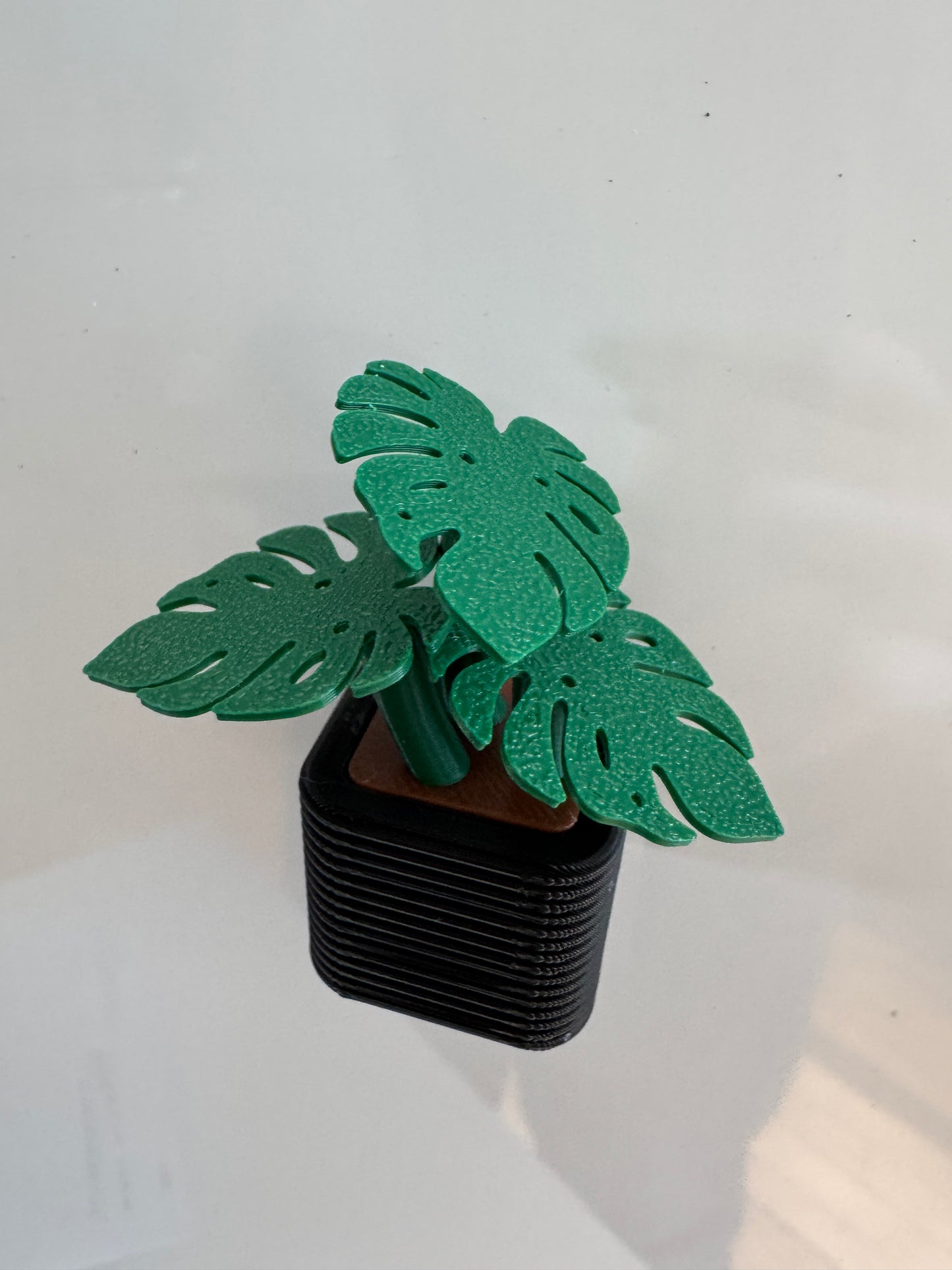 Kühlschrankmagnet Monstera