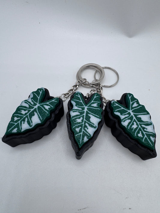 Schlüsselanhänger fridget clicker Alocasia Frydek