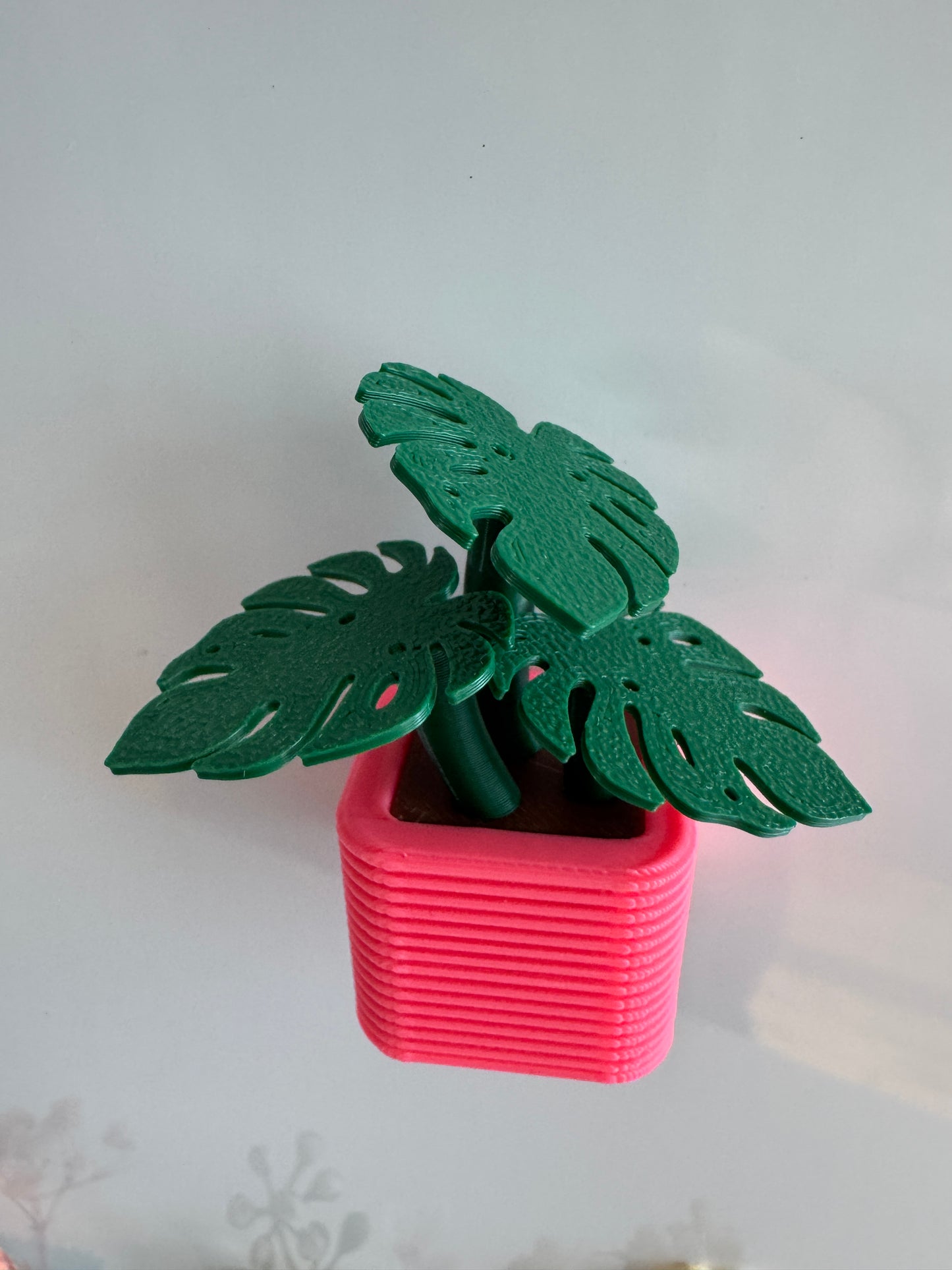 Kühlschrankmagnet Monstera