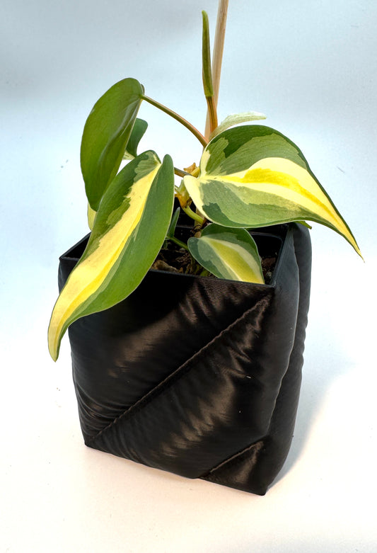 Pflanzentopf Puffer curved