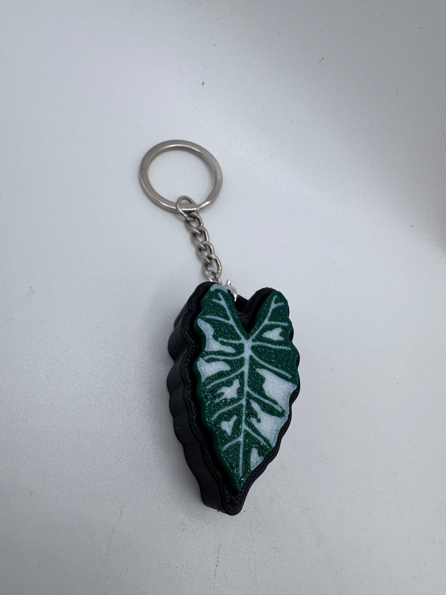 Schlüsselanhänger fridget clicker Alocasia Frydek